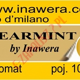 Spearmint by Inawera E-Aromat 10ml