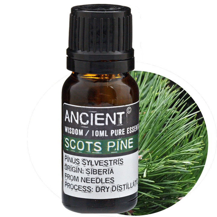 Olejek eteryczny Sosna 10 ml – świeży, leśny aromat | Aromaterapia